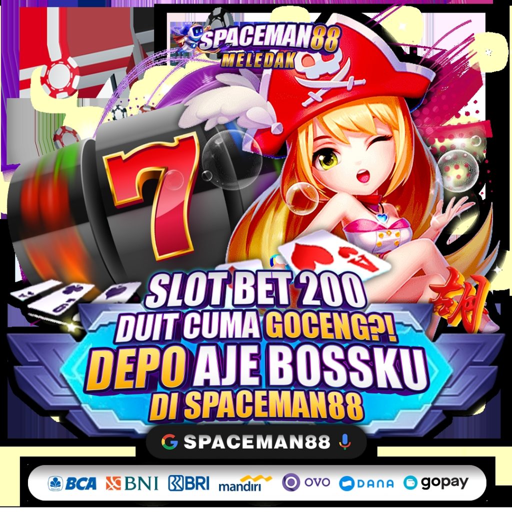 20241121-085341